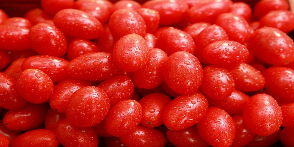天然抗氧化剂——茄红素